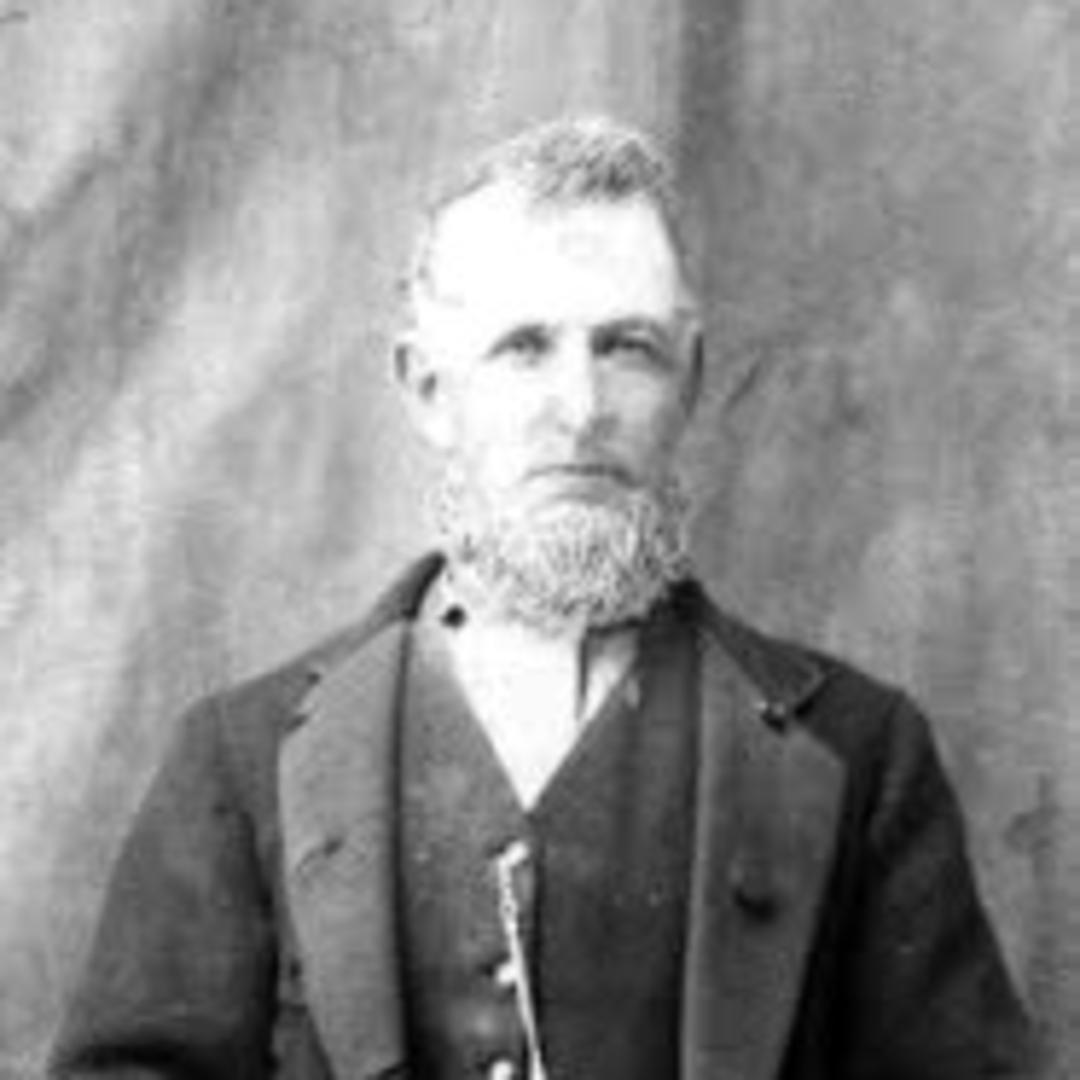 Ebenezer Albert Williams (1830 - 1917) Profile